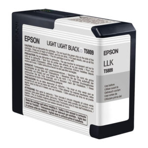 Epson Inktpatroon T580900 - Light Light Black/Licht Licht Zwart (Pro 3800/3880) (origineel)