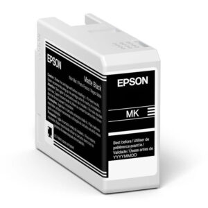 Epson Inktpatroon T46S8 - Matte Black