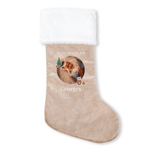 Kerstsok Goud