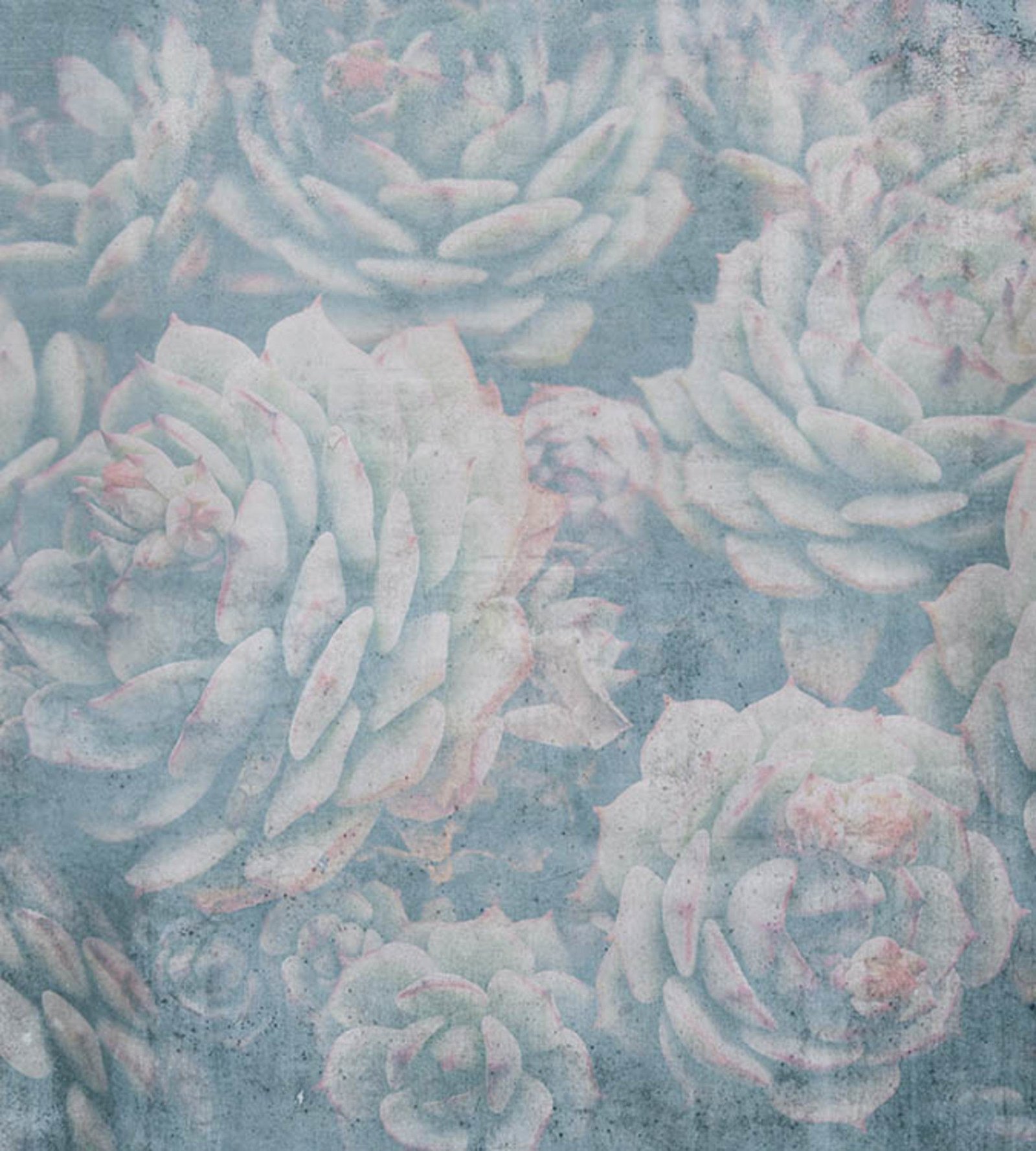 Fotobehang - Aloe Abstract 225x250cm - Vliesbehang 1 Fotobehang - Aloe Abstract 225x250cm - Vliesbehang