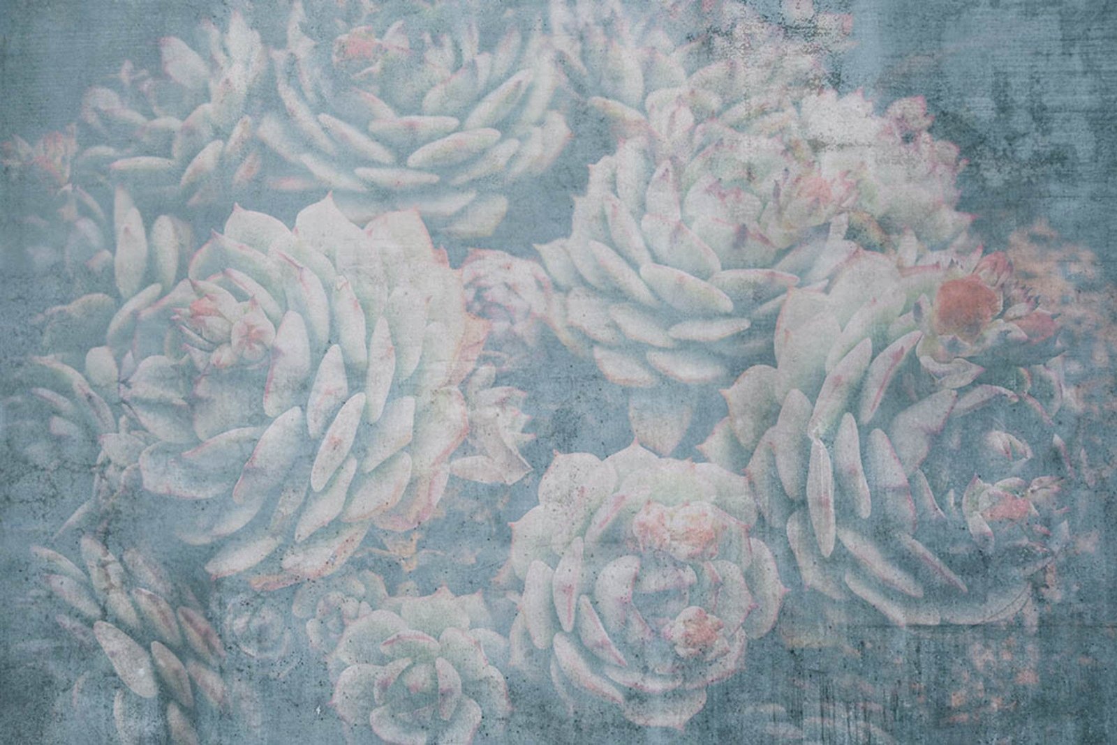 Fotobehang - Aloe Abstract 375x250cm - Vliesbehang 1 Fotobehang - Aloe Abstract 375x250cm - Vliesbehang