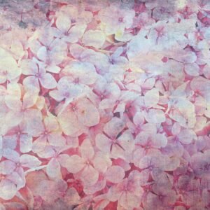 Fotobehang - Apple Tree Abstract I 375x250cm - Vliesbehang