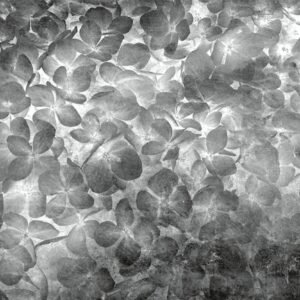 Fotobehang - Apple Tree Abstract II 375x250cm - Vliesbehang