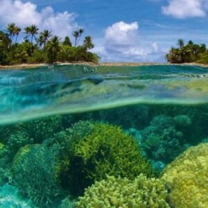Fotobehang - Coral Reef 150x250cm - Vliesbehang