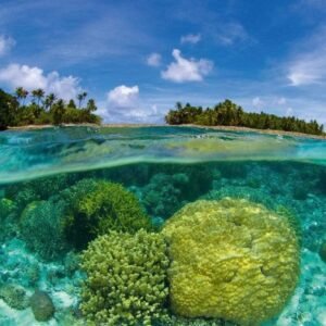 Fotobehang - Coral Reef 375x250cm - Vliesbehang