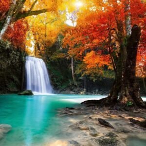 Fotobehang - Deep Forest Waterfall 225x250cm - Vliesbehang