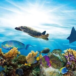 Fotobehang - Fish 375x250cm - Vliesbehang
