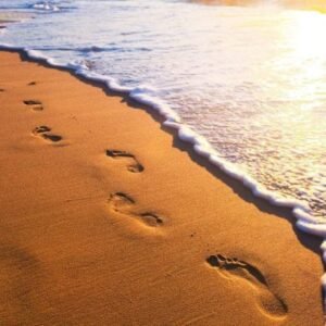 Fotobehang - Footsteps 375x250cm - Vliesbehang