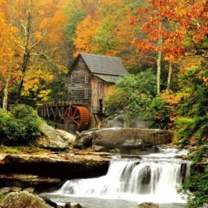 Fotobehang - Grist Mill 225x250cm - Vliesbehang