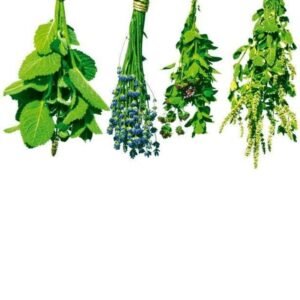 Fotobehang - Herbs 150x250cm - Vliesbehang