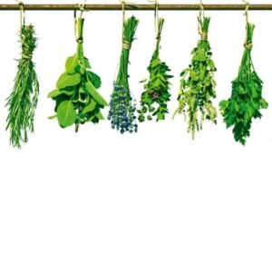 Fotobehang - Herbs 225x250cm - Vliesbehang