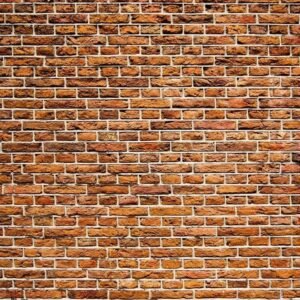 Fotobehang - Old Brick 225x250cm - Vliesbehang