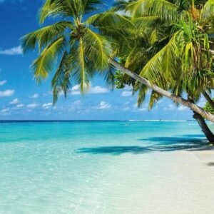 Fotobehang - Paradise Beach 150x250cm - Vliesbehang