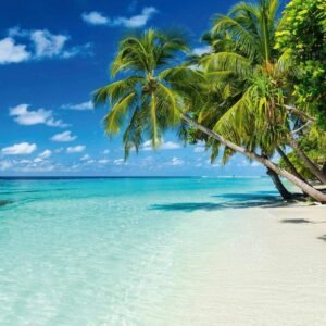 Fotobehang - Paradise Beach 225x250cm - Vliesbehang
