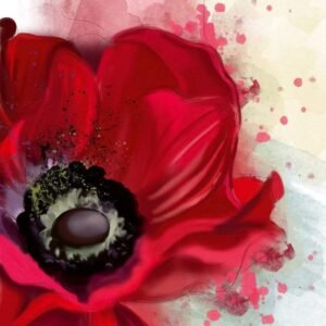 Fotobehang - Poppy 225x250cm - Vliesbehang