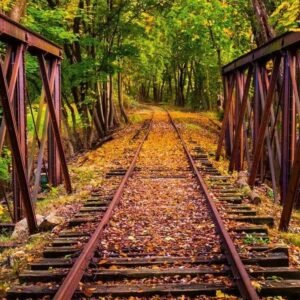 Fotobehang - Railroad 150x250cm - Vliesbehang