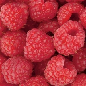Fotobehang - Raspberry 225x250cm - Vliesbehang