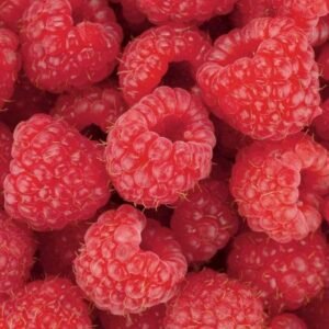 Fotobehang - Raspberry 375x250cm - Vliesbehang