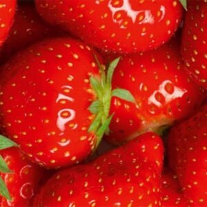 Fotobehang - Strawberry 375x150cm - Vliesbehang