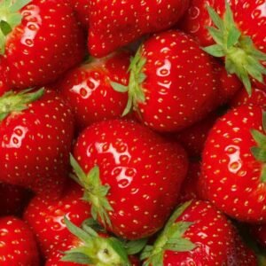 Fotobehang - Strawberry 375x250cm - Vliesbehang