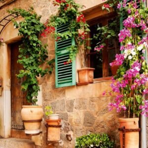 Fotobehang - Street Garden 375x250cm - Vliesbehang
