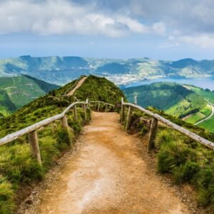 Fotobehang - Walking Path 225x250cm - Vliesbehang