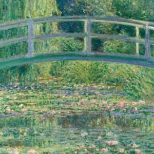 Fotobehang - Water Lily 375x250cm - Vliesbehang
