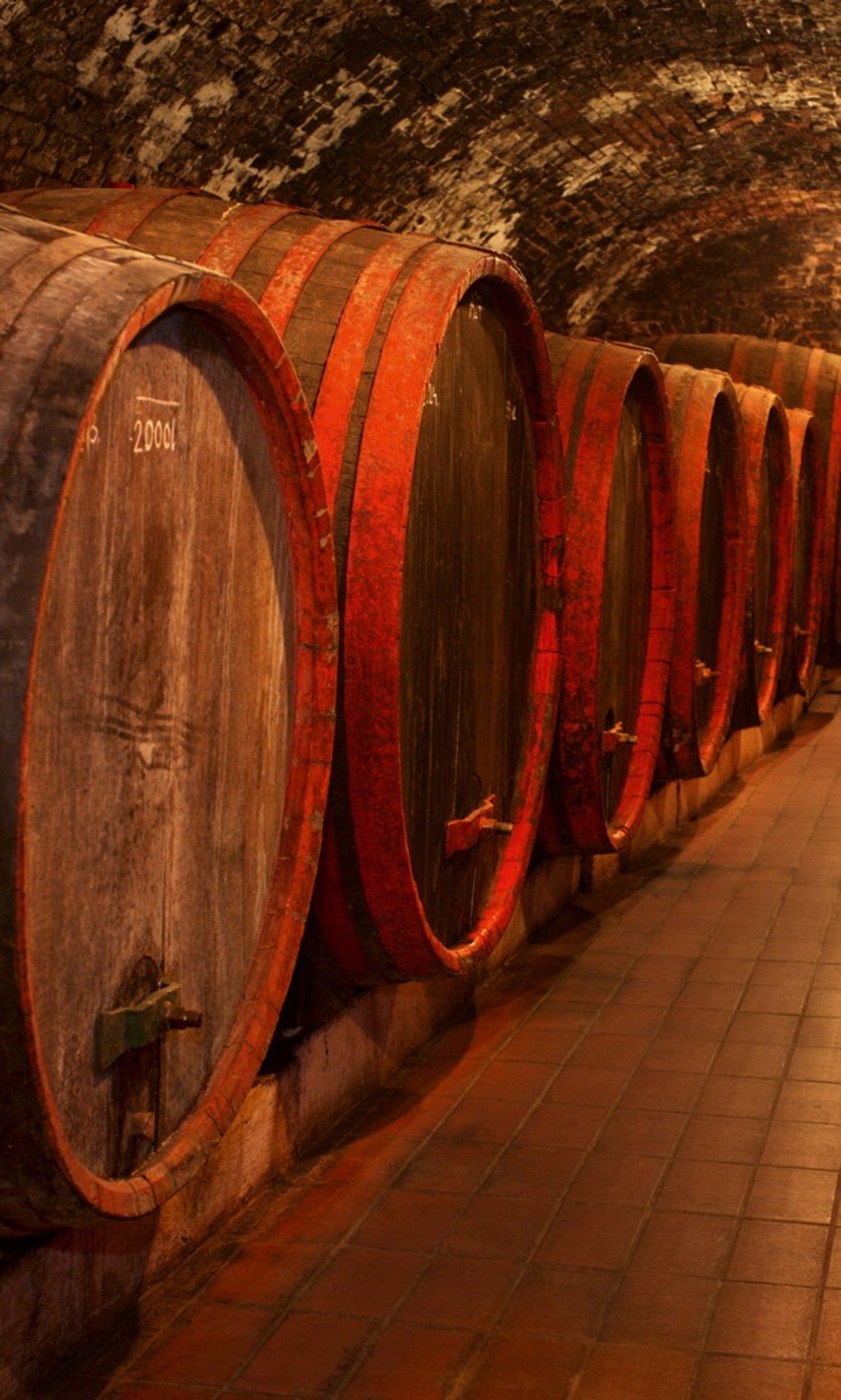 Fotobehang - Wine Barrels 150x250cm - Vliesbehang 1 Fotobehang - Wine Barrels 150x250cm - Vliesbehang