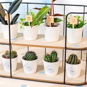 Bloempot met sticker - set van 12