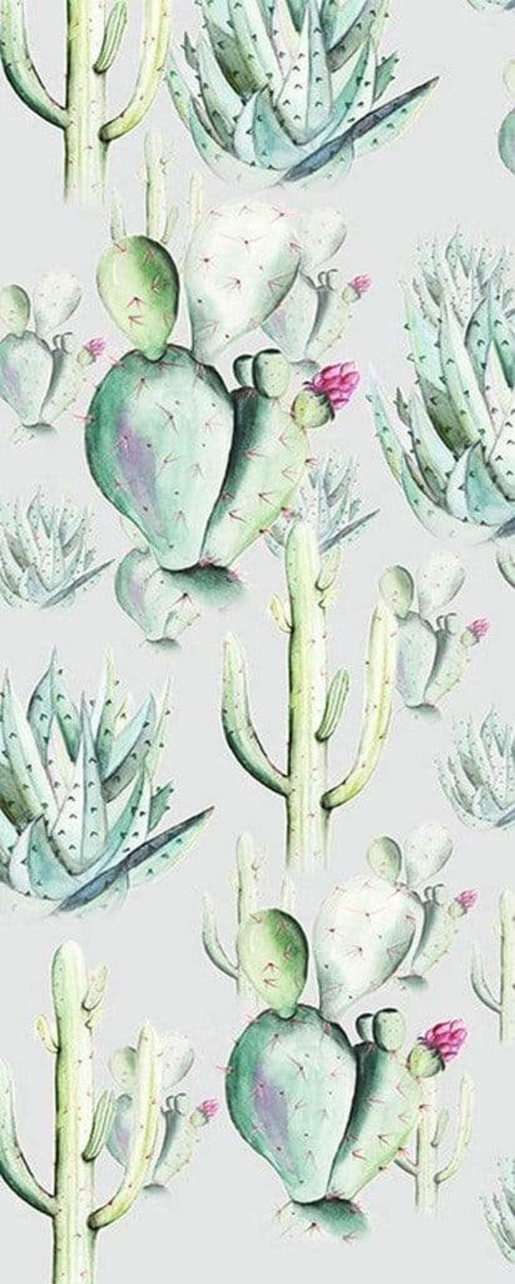 Fotobehang - Cactus Grey 100x250cm - Vliesbehang 1 Fotobehang - Cactus Grey 100x250cm - Vliesbehang