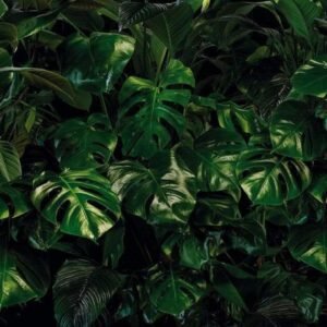 Fotobehang - Tropical Wall 400x250cm - Vliesbehang