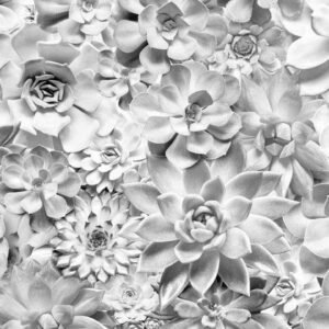 Fotobehang - Shades Black and White 400x250cm - Vliesbehang