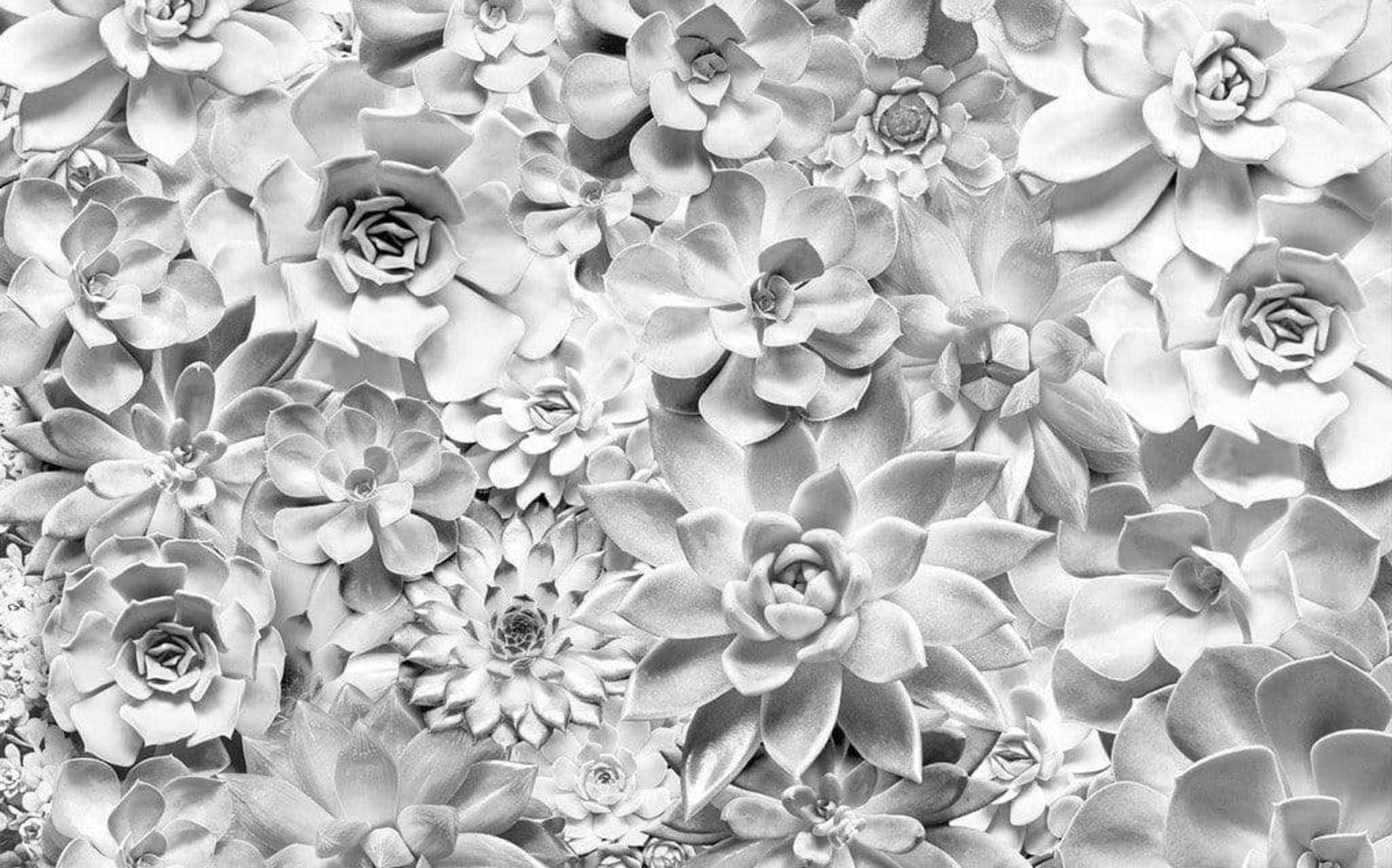 Fotobehang - Shades Black and White 400x250cm - Vliesbehang 1 Fotobehang - Shades Black and White 400x250cm - Vliesbehang