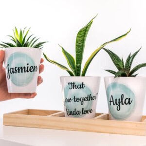 Kleine bloempot (set van 3)