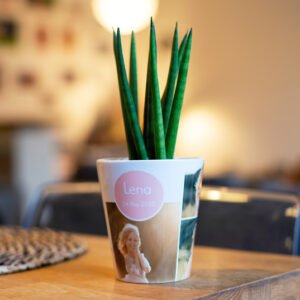 Kleine bloempot