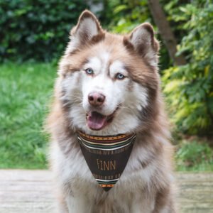 Gepersonaliseerd sjaaltje voor honden en katten