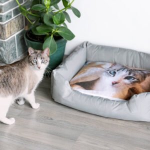 Bed voor honden en katten