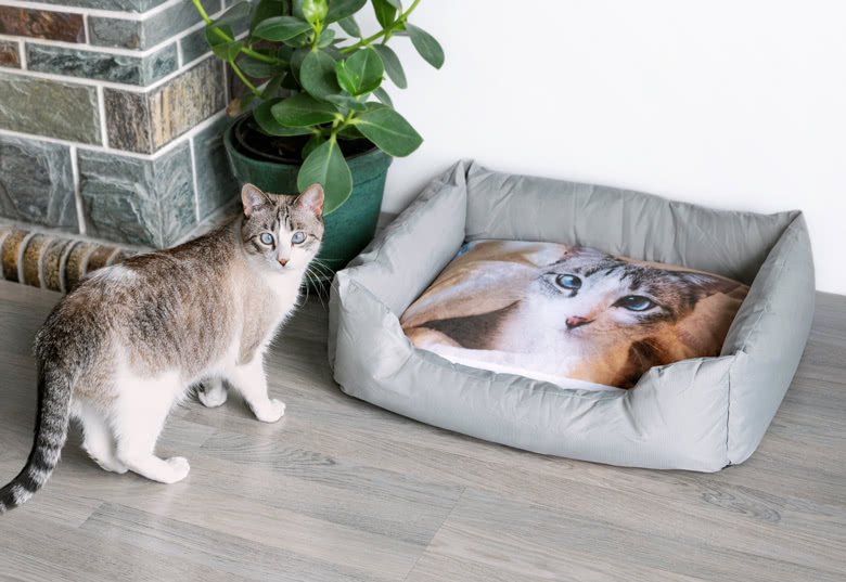 Bed voor honden en katten 1 Bed voor honden en katten